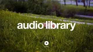 I Knew a Guy &ndash; Kevin MacLeod (No Copyright Music)