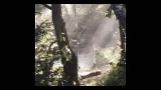 Yeule ~ Poison Arrow | slowed + reverb