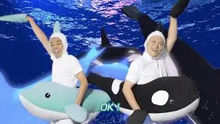 【公式】COWCOW MV【イルカ！オルカ！ポルカ!】