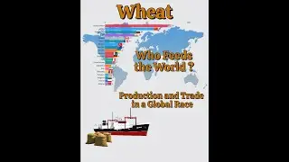 Wheat in Numbers: Production, Trade, and Prices in a Global Race