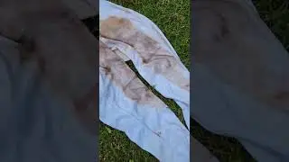 How to Clean White Baseball Pants. Easy!