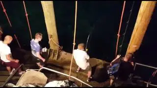 Ascension Island fishing off the pier