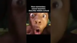 #funny #memes