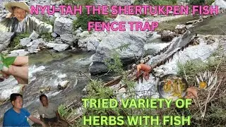 Nyu-Tah The Shertukpen Fish Fence Trap ll Tried Variety Of Wild Herbs With Fish 