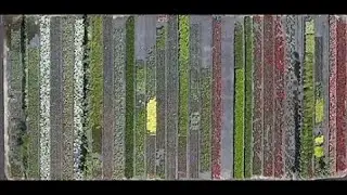 Ornamental Horticulture Nurseries Manatee County