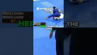 Finaliza&ccedil;&atilde;o de Romulo Barral