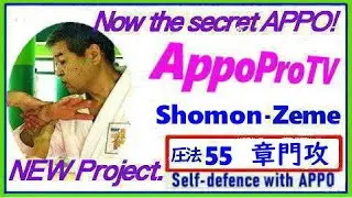 圧法No 55　章門攻　Appo　Shomon-Zeme