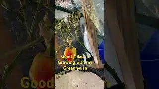 Relearning hot/cold greenhouse inside