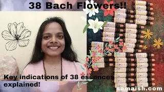 Bach flowers Overview | 7 groups of emotions & flowers | Key Indications | Self Experience | ASMR