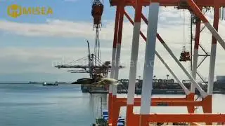 Misea's giant 6-bladed marine fixed pitch propeller has been successfully delivered to the shipyard