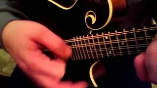 Mandolin Brothers: Collings (new) MF Mandolin with Glossy Top and Ivoriod Binding