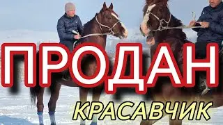 19 января 2026 г.