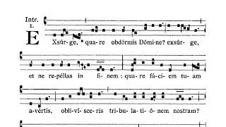 Dominica in Sexagesima - Introitus (Exsurge quare obdormis)