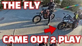 E-Bike Group Ride Episode 66 - Chasing Alternate Volts Around Brooklyn 😂