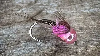 Radiation Baetis