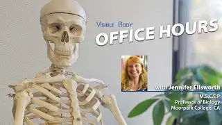 Visible Body Webinars | Office Hours with Professor Jennifer Ellsworth