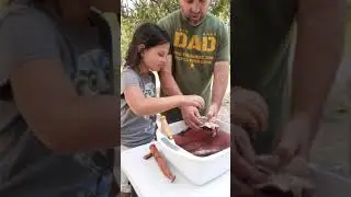 You Catch you CLEAN. Fish that is. Sophia's first time cleaning a fish. camping 2021