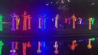 I love the holiday lights at Vitruvian Park.