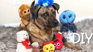 Самодельные пищащие игрушки для собак