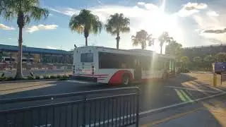 more Disney Transport bus action at Disney Springs