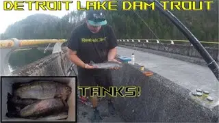Catching Trout (TANKS) at Detroit Lake Dam on Hot Night Bite I Oregon Trout Fishing I Summer Fishing