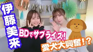 【伊藤美来 祝！生誕】サプライズ大作戦【愛犬ピノ大興奮！】