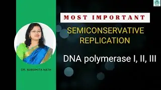 DNA replication, DNA polymerase I II III, semiconservative DNA replication