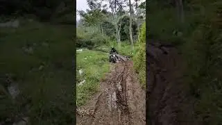 Habitat Honda Verza yang sesungguhnya #motorhonda  #trabas  #offroad
