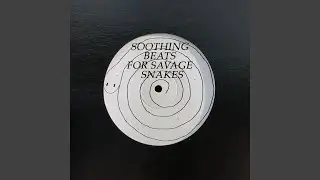 Soothing Beat for Savage Snake