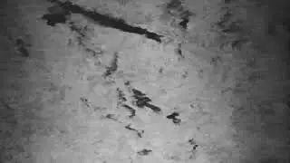 13th Rung - Phone Recording (drone campaign)