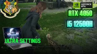Colorful Evol P15 i5 - 12500H RTX 4050 Laptop Gaming Test | Hogwarts Legacy