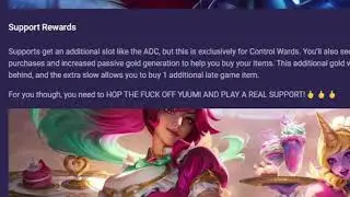 the ultimate support
