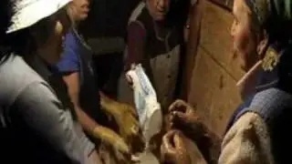 Bolo Podre de Mões 1º parte