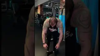 Задняя дельта + бабочка