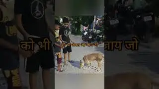 बेजुबान मेरीजान #shorts #youtubeshorts #trending #shortvideo