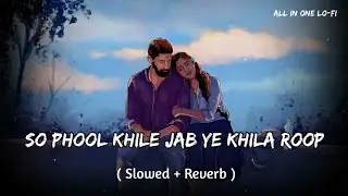 So Phool Khile Jab Ye Khila Roop Sunehra | Slowed & Reverb | #slowedandreverb #90s #song #viralsong