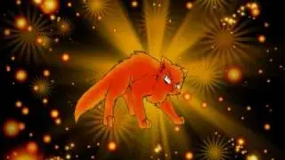 Molekit and Lionblaze Audition