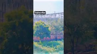 Hindi song😍 || #viral #shorts #funny #song #trending