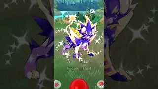 Finally I Got ✨Shiny Luxray in pokemon go #pokemon #soparstart #shiny #shinypokemon #shorts