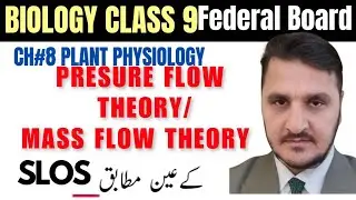 Pressure flow mechanism/Mass flow theory| Source and Sink Osmosis| Hydrostatic pressure| Phloem sap