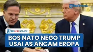 Bos NATO Dekati Trump Usai AS Ancam Naikan Tarif 10 Persen Gegara Tolak Ambisi Rebut Greenland