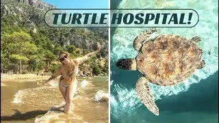 Turtle Hospital in Turkey | Turkey Travel Series