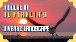 INDULGE IN AUSTRALIA'S DIVERSE LANDSCAPE