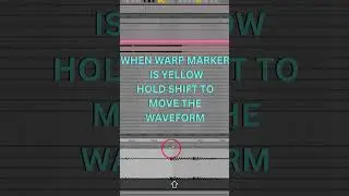 Warping Shortcuts in Ableton. #abletontips #musicproduction #ableton #musichabits #mentalgame