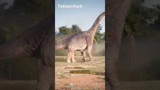 Die Welt der dinos!