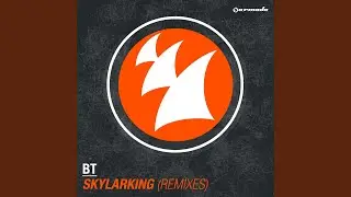 Skylarking (Ilan Bluestone Remix)