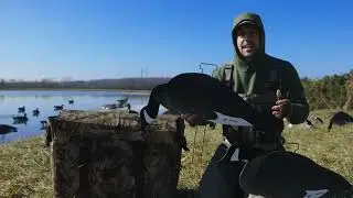 Tanglefree - Fully Flocked Canada Skinny Decoys