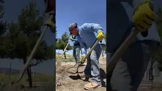 Mixing concrete #construction #carpentry #architecture #summer #diy #shorts #trending #outdoors