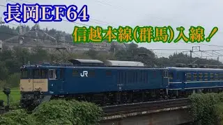 【EF64 1031で代走】SL・GVぐんまよこかわ (2025年8月10日) EF64 1031 + 12系 + GV-E197系 TS08編成