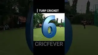 Cricfever #shorts 12 | Turf Cricket #shortvideo | Manish Yadav